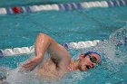 Swim vs Bentley  Wheaton College Swimming & Diving vs Bentley University. - Photo by Keith Nordstrom : Wheaton, Swimming & Diving